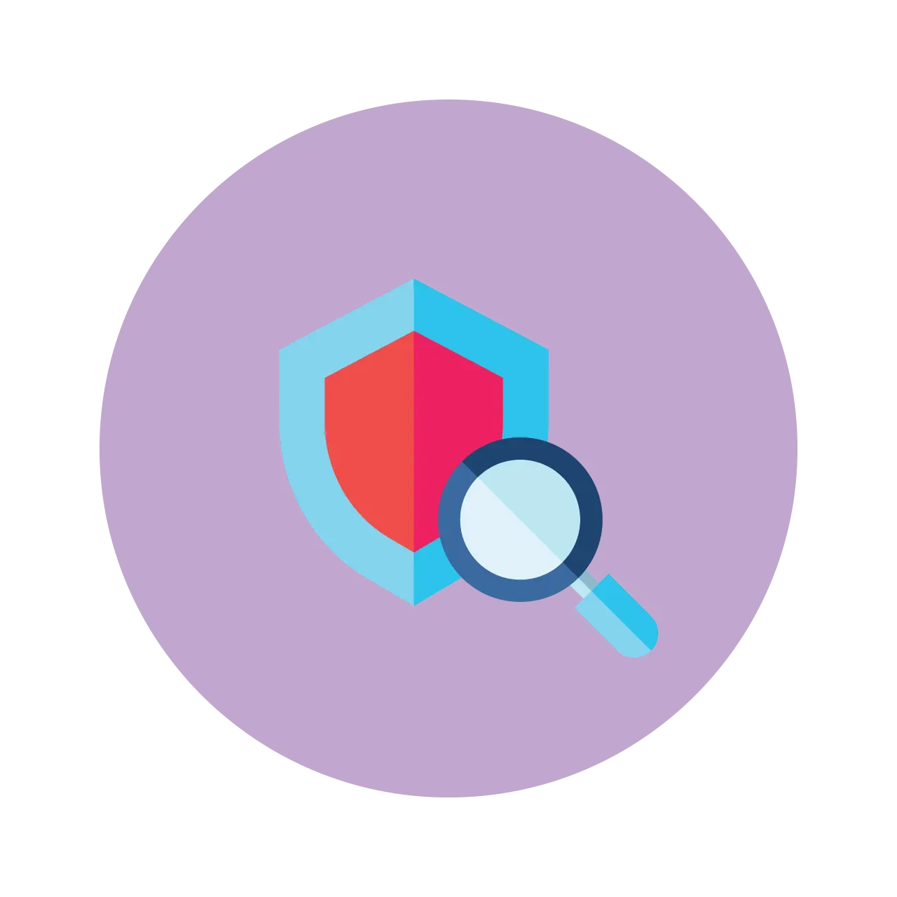 Cybercrime Investigation & Security Auditing